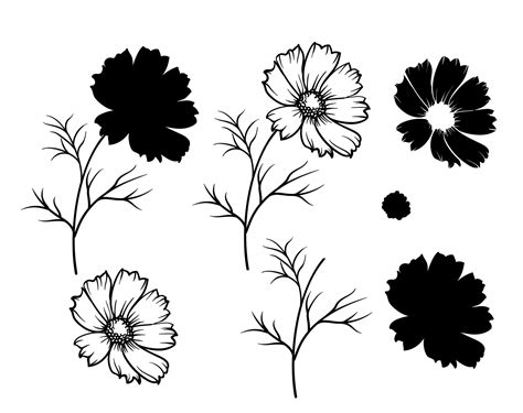 Cosmos Spring Flower Svg. Flower Outline SVG Files for Cricut - Etsy