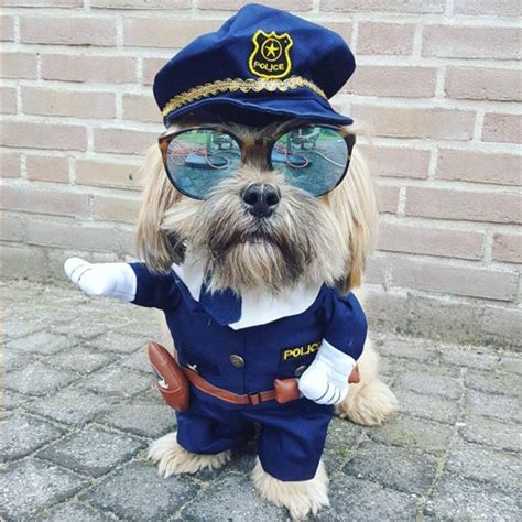 A Dog Dressed Up As A Police Officer