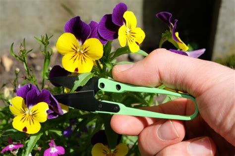 Deadheads Handy Deadheading Garden Mini Snips Snippers Green For Sale