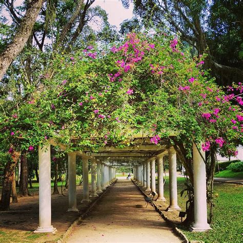 10 atrações no Jardim Botânico | Rio Cultural Secrets ...