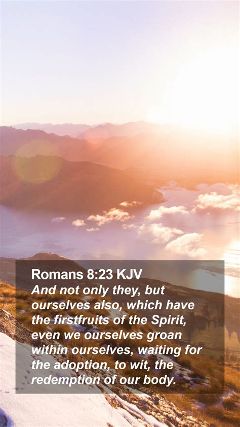 Romans 823 Kjv Mobile Phone Wallpaper And Not Only They But