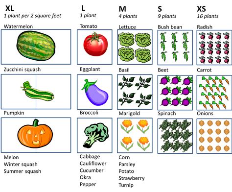 Using a square foot gardening layout is critical if you want to grow a large amount of food in a small amount of space. Vegetable-plants-per-square-foot.png (1334×1106) | Garden ...
