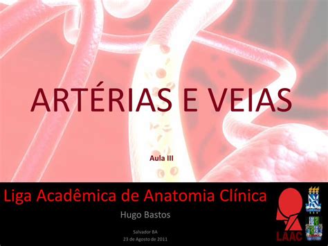 PDF ARTÉRIAS E VEIAS files laac anatomia webnode com brfiles laac