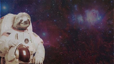 Astronaut Sloth Wallpaper Wallpapersafari