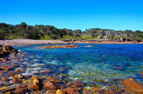 Port Stephens And The Central Coast Of Nsw Explore Shaw
