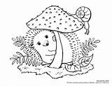 Hedgehog Colouring Sheet Coloring Activities Template Feel sketch template