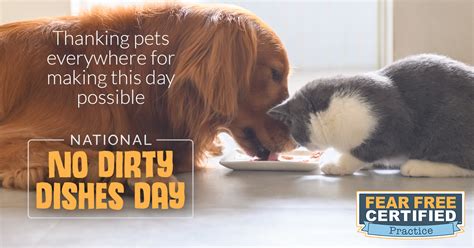 Listen to fear free pets | soundcloud is an audio platform that lets you listen to what you love and share the sounds you create. National-No-Dirty-Dishes-Day (1) | Fear Free Pets