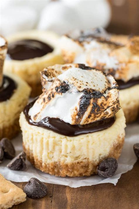 Smores Desserts Are The Ultimate Summertime Treat