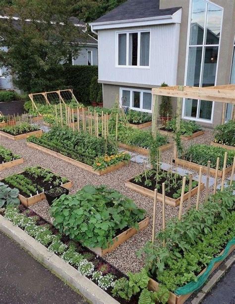 15 Fascinating Fruit And Vegetable Garden Ideas You Need To Try — Freshouz Home And Architecture