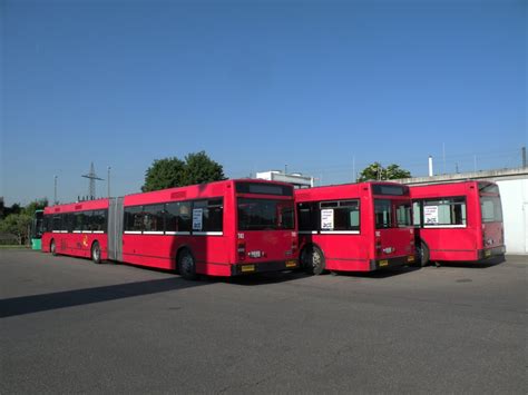 Drei Van Hool Busse 741 Ex Bernmobil 246 742 Ex Bernmobil 249 Und 739 Ex Bernmobil 242
