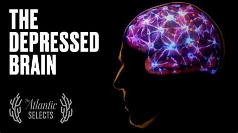 Your Brain On Depression Neuroscience Animated Youtube