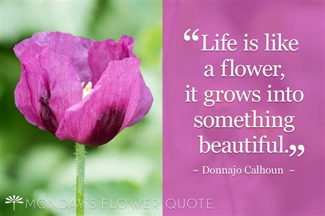 Life Is Like A Flower It Grows Into Something Beautiful Floating Petals