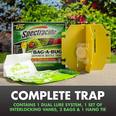 Top More Than 72 Bug Bag Trap Best Esthdonghoadian