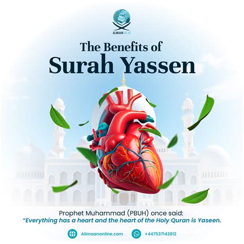 The Benefits Of Surah Yaseen Spiritual Rewards And Blessings Alimaan