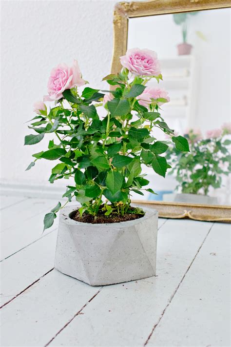 Your home and garden are the places where you can be you and creative. DIY | Geometric Concrete Planter