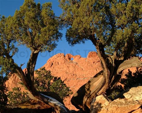 Millions of years in the making, the garden of the gods provides spectacular views unlike anywhere in the midwest. A Geographical look at the Garden of the Gods: Weathering ...