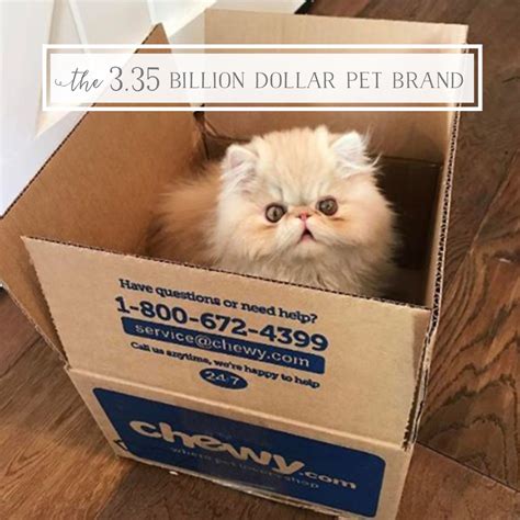 Whatever the case, a cat subscription box could be the answer. The 3.35 Billion Dollar Pet Brand