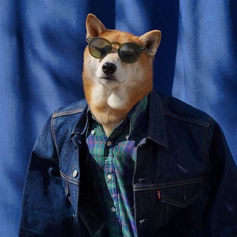 Mensweardog The Most Stylish Dog In The World Swag Poster Menswear