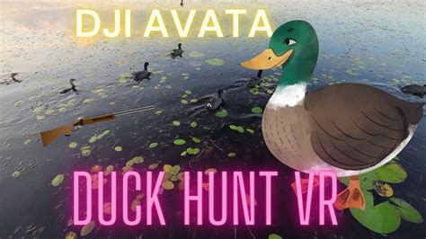 Dji Avata Real Life Duck Hunt Vr Youtube