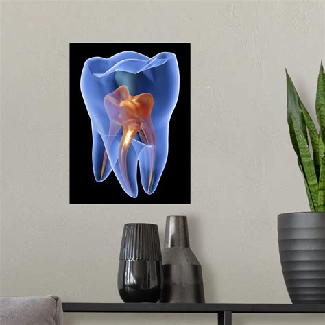 Molar Tooth Poster Art Print Home Decor Ebay