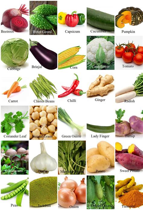 Vegetables Name With Pictures In English Vegetable Images Different