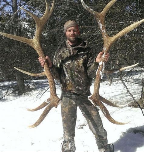 Any link given or request for information in this sub is a scam. Big fines for two trophy poached Montana bull elk | goHUNT