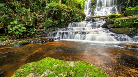Download Wallpaper Forest River Waterfall Forest River Landscape