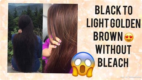 How To Lighten Black Hair Without Using Bleach Revlon 170 Light