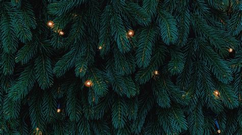 Pine And Christmas Lights Wallpapers Wallpaper Cave