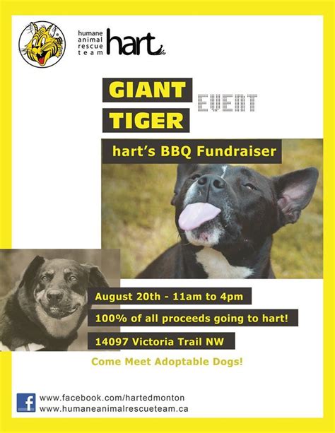 August 20 2016 From 11 4 Pm Edmonton Meet Adoptable Dogs From Hart