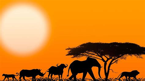 In 1964, tanganyika united with zanzibar, forming the united republic of tanganyika and zanzibar. Spotting Africa's Big 5 in Tanzania | Mowgli Adventures