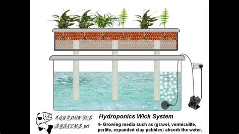 Hydroponic Wick System Youtube