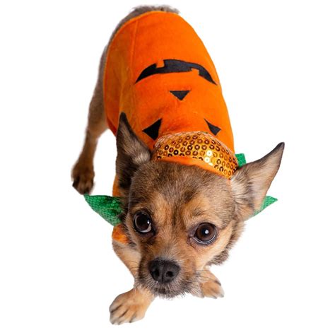 Pet Krewe Pumpkin Dog Costume Baxterboo