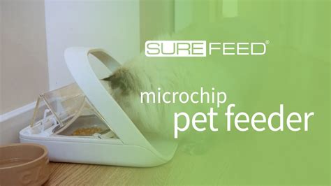 Put simply, it's a sealed pet feeder that only opens for whichever microchip it's paired with. SureFeed Microchip Pet Feeder - Control Your Pets' Diets ...