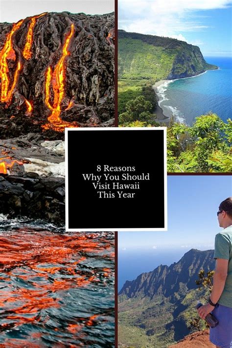 8 Reasons Why You Should Visit Hawaii This Year Hawaii Travel Travel
