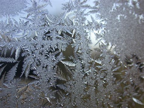 Frost On The Window Free Stock Photo Public Domain Pictures