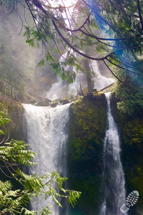 April 2019 Ford Pinchot National Forest Falls Creek Falls