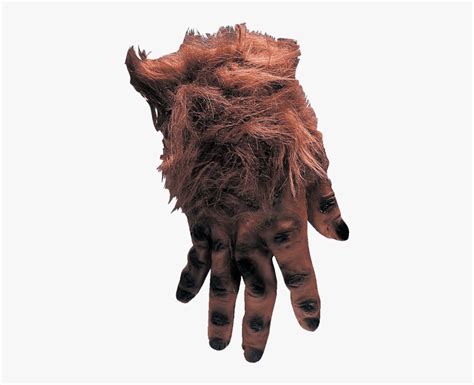 Hairy Brown Monster Hands Imagenes De La Mano Pachona Hd Png