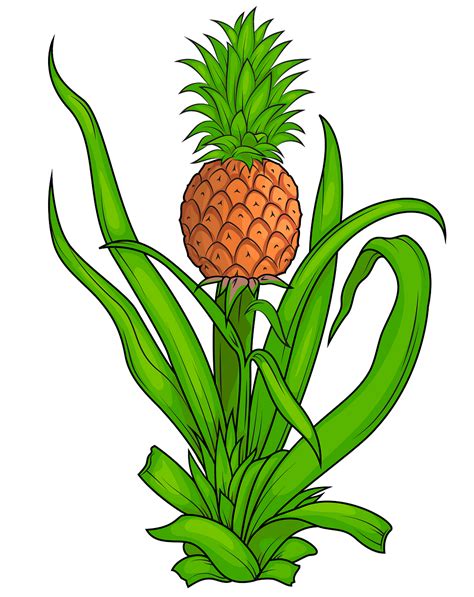 Clipart Plants Free Download 10 Free Cliparts Download Images On