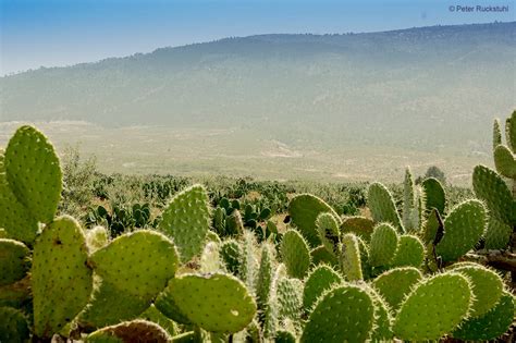 What language is spoken in tunisia? Reise nach Tunesien - Wie entsteht unser ...