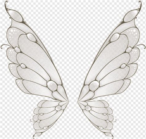 Gray And White Butterfly Wings Illustration Butterfly Wing Flight Moth Painted White Butterfly