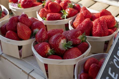 Sweet Ripe French Red Strawberries In Wooden Boxes On Provencal Farmers