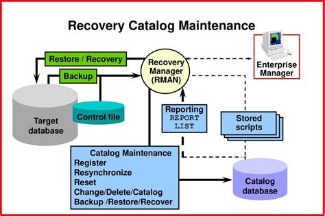 Recovery Catalog Database In Rman Oracleagent Blog
