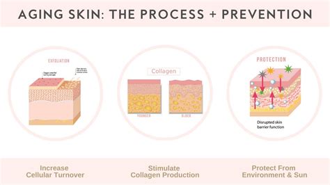Aging Skin The Process Prevention Youtube