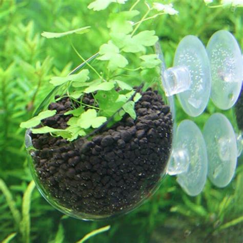 Aquarium Plant Holder Fish Tank Glass Plants With Suction Cup Aquatic