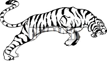 Leaping Tiger Illustration