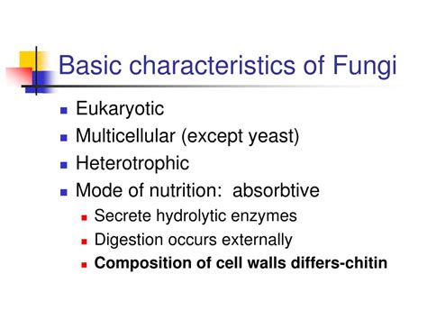 Ppt Fungi Powerpoint Presentation Free Download Id343287