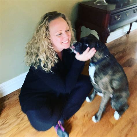 Positive Vibe Dog Training Jennifer Miller Consulting Llc Dog