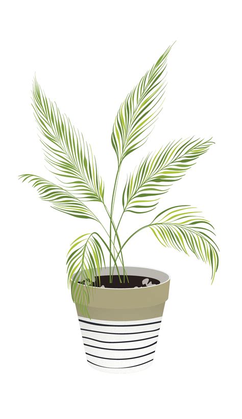 ✓ free for commercial use ✓ high quality images. Bunga Hijau Png Vector - firstz - sports