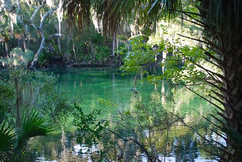 Maybe you would like to learn more about one of these? Florida State Parks | hiking, camping, paddling, biking ...